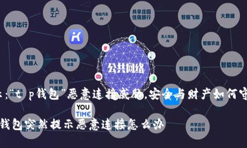 提示：“t p钱包”恶意连接威胁，安全与财产如何守护？

t p钱包突然提示恶意连接怎么办