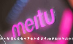  深入解析巴黎圣日耳曼加密货币：粉丝经济的新