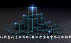 tp钱包闪兑不到账？解决方