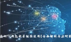 被盗的TP钱包能否继续使用？全面解析与应对策略
