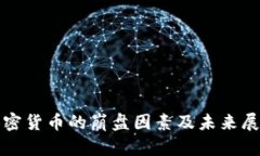 加密货币的崩盘因素及未来展望