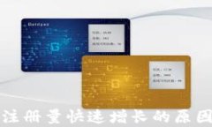 TP钱包用户注册量快速增长的原因与影响分析
