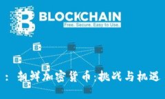 : 朝鲜加密货币：挑战与机遇